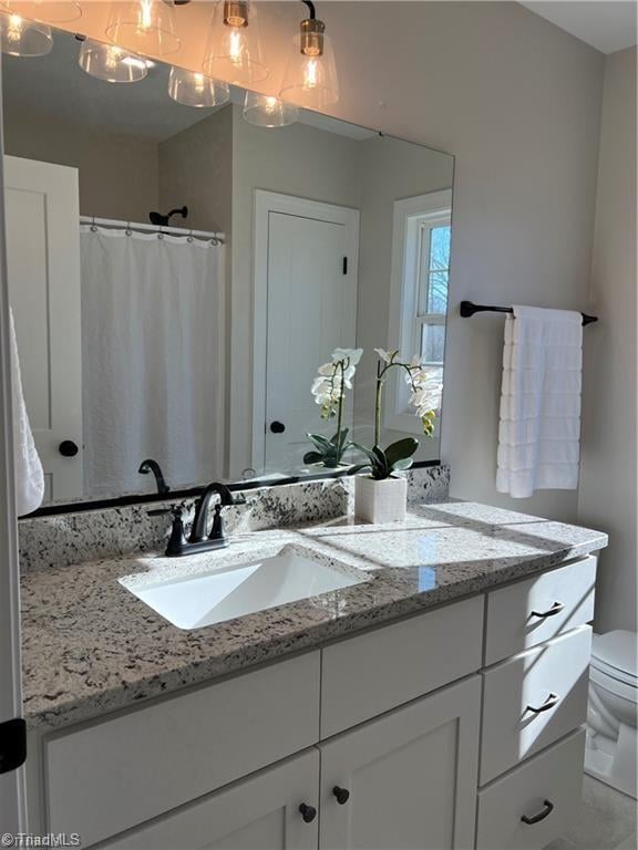 bathroom featuring toilet and large vanity