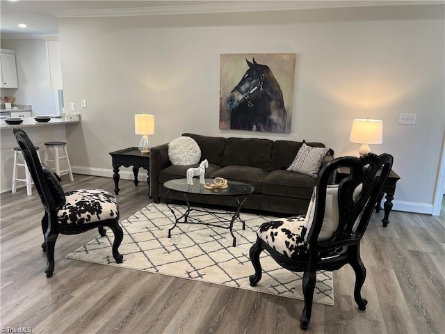 living room featuring ornamental molding and light wood-type flooring