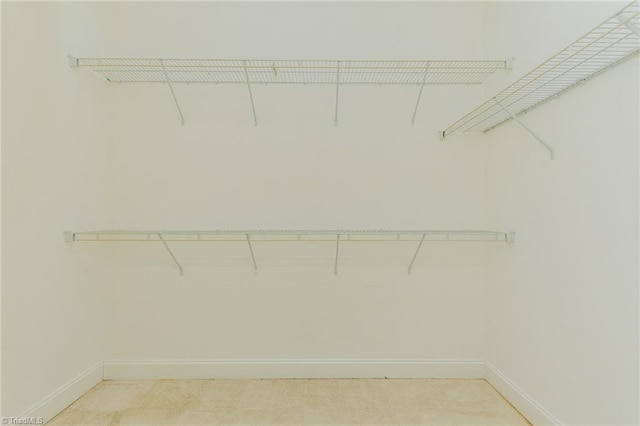 walk in closet with light colored carpet