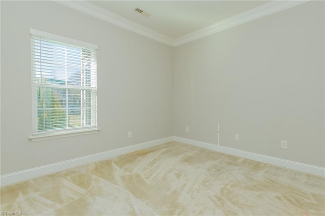 empty room featuring carpet floors and ornamental molding