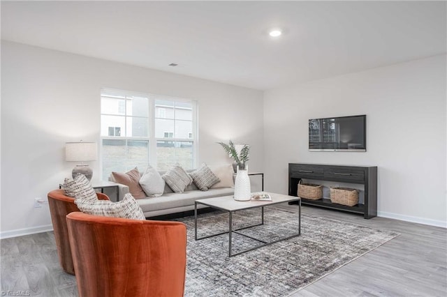 living room featuring light hardwood / wood-style floors