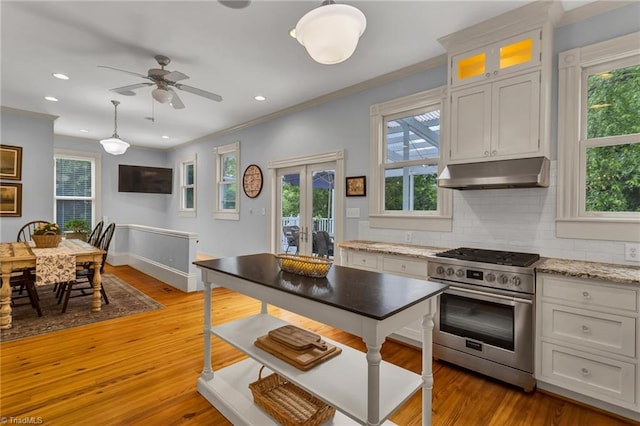 638 N Spring St, Winston-Salem, NC 27101 - kitchen featuring high end range, under cabinet range hood, crown molding, tasteful backsplash, and french doors