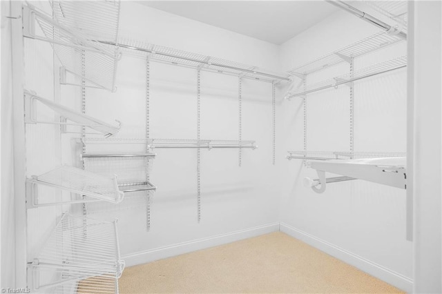 walk in closet with carpet flooring