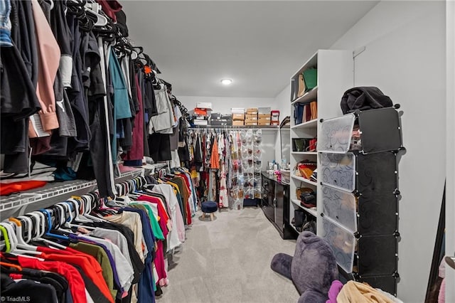 2590 Mccullum Ct, Browns Summit, NC 27214 - walk in closet with carpet floors