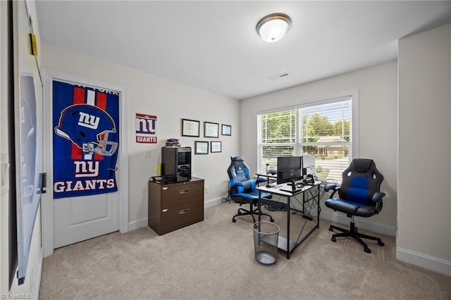 2590 Mccullum Ct, Browns Summit, NC 27214 - office featuring carpet flooring and baseboards
