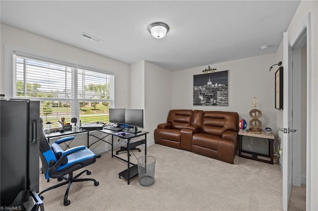 2590 Mccullum Ct, Browns Summit, NC 27214 - office space featuring carpet
