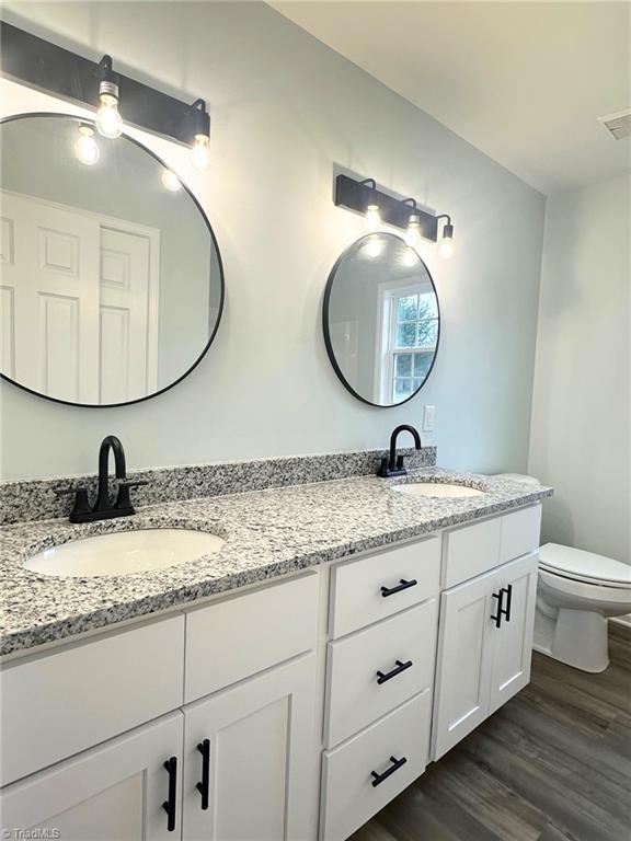 bathroom featuring wood-type flooring, toilet, and vanity