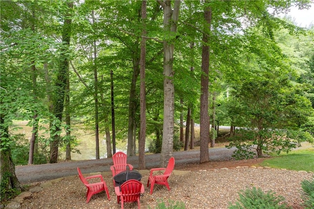 298 Duke Dr, Lexington, NC 27292 - view of yard featuring a fire pit