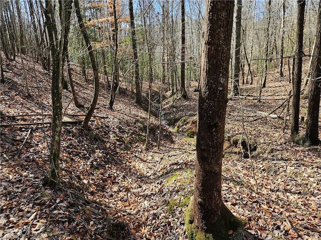 Listing photo 3 for 00 Wolf Creek Trl, Dobson NC 27017