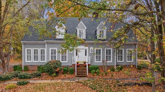 view of cape cod house