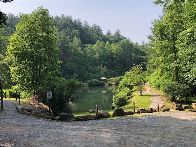 view of property's community with a water view