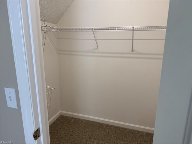 walk in closet with carpet floors