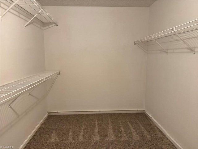 walk in closet featuring dark carpet