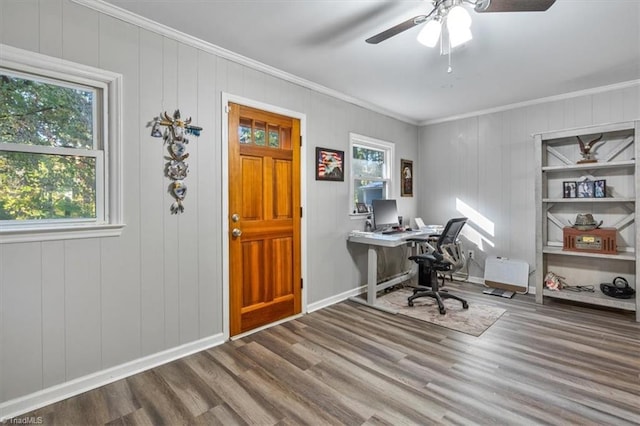 office space featuring ornamental molding, wood-type flooring, plenty of natural light, and ceiling fan