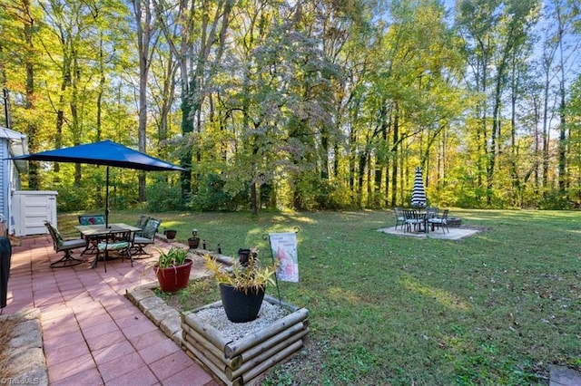 view of yard with a patio area