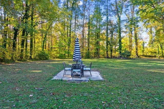 view of yard featuring a patio area