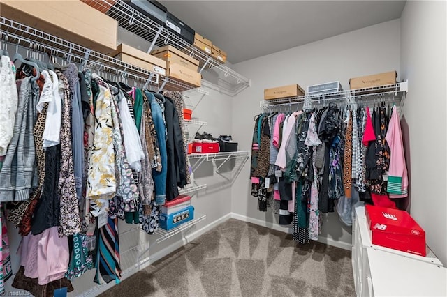 8004 Hacker Dr, Stokesdale, NC 27357 - walk in closet with carpet