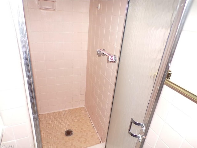 bathroom featuring a stall shower