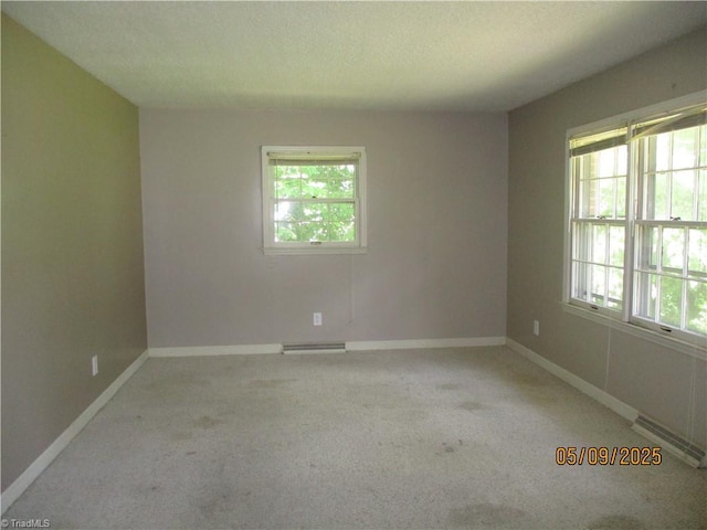 carpeted empty room with plenty of natural light and baseboards