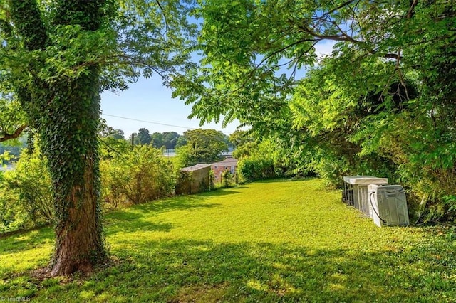 1115 Wachovia St, Winston-Salem, NC 27101 - view of green lawn