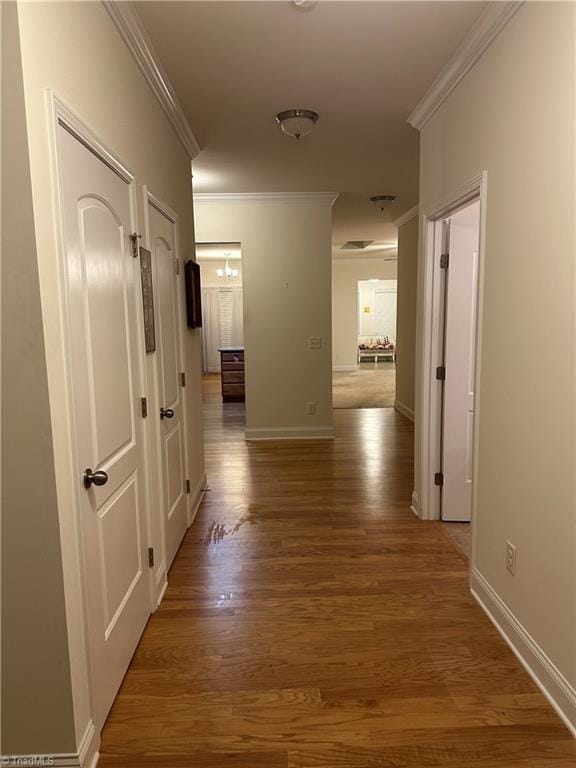 hall with wood-type flooring and crown molding