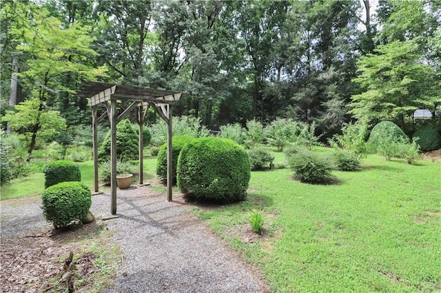 view of yard featuring a pergola