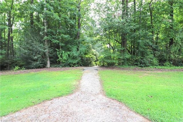 view of street with a wooded view