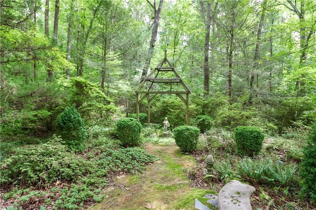 view of local wilderness featuring a view of trees