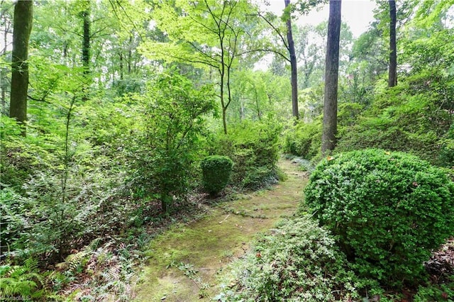 view of local wilderness with a wooded view