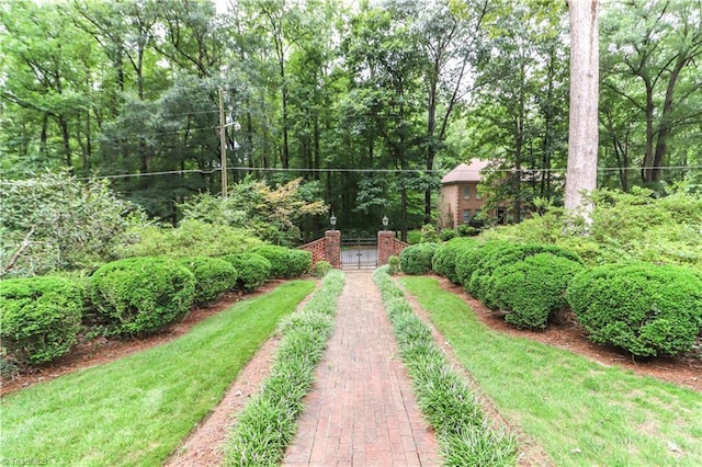 view of yard featuring driveway and a gate