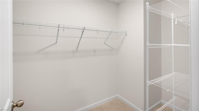319 Willowbrooke Way, Stokesdale, NC 27357 - spacious closet with carpet floors