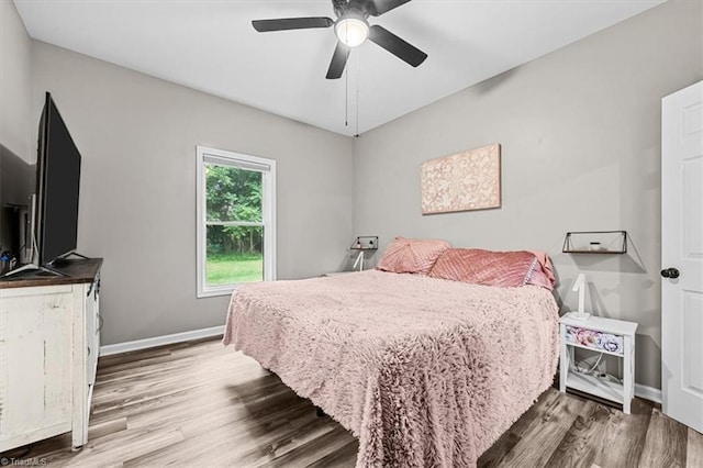 7517 NC Highway 62, Trinity, NC 27370 - bedroom featuring wood finished floors and ceiling fan