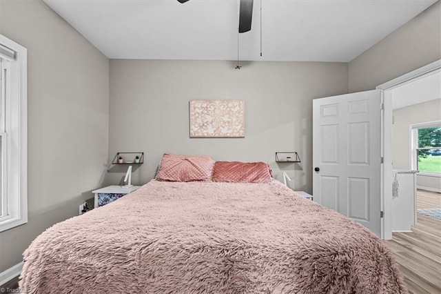 7517 NC Highway 62, Trinity, NC 27370 - bedroom with wood finished floors and a ceiling fan
