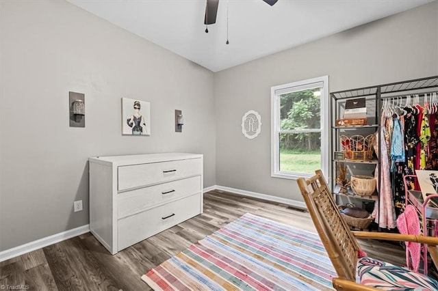 7517 NC Highway 62, Trinity, NC 27370 - office area with ceiling fan and wood finished floors