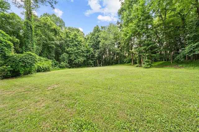 7517 NC Highway 62, Trinity, NC 27370 - view of green lawn with a wooded view