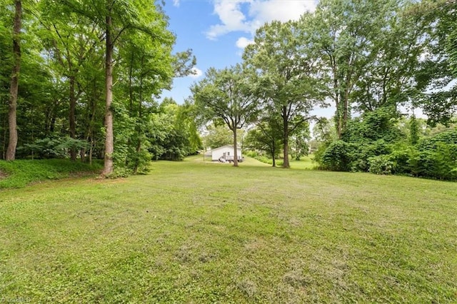 7517 NC Highway 62, Trinity, NC 27370 - view of green lawn
