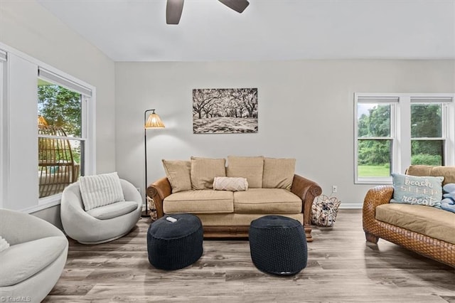 7517 NC Highway 62, Trinity, NC 27370 - living area with wood finished floors and a ceiling fan
