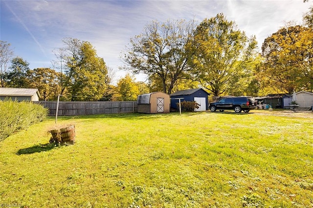 view of yard with a storage shed