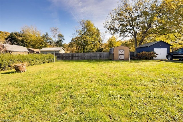 view of yard with a shed