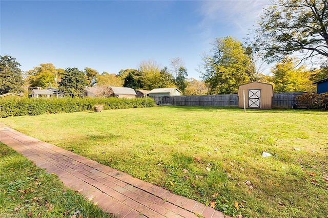 view of yard with a storage unit