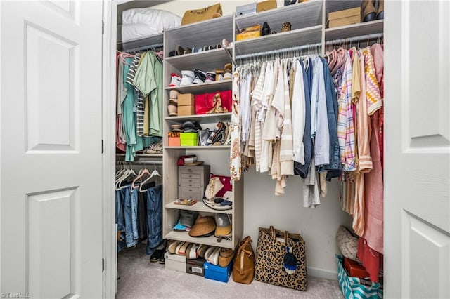130 W Brick Walk Ct, Mocksville, NC 27028 - view of closet