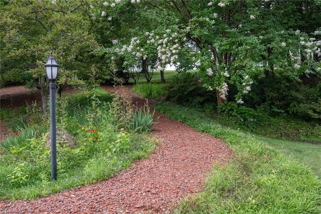 130 W Brick Walk Ct, Mocksville, NC 27028 - view of yard
