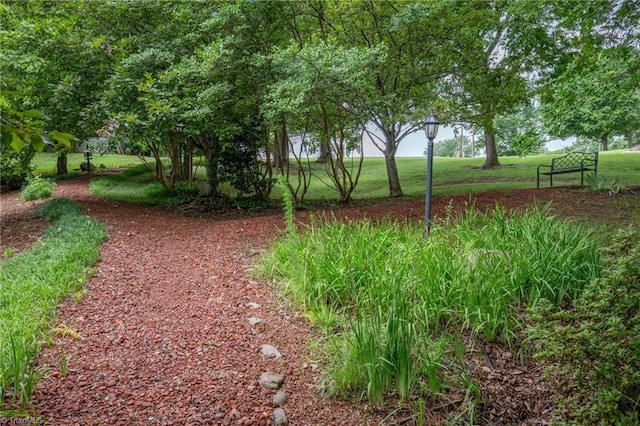 130 W Brick Walk Ct, Mocksville, NC 27028 - view of grassy yard