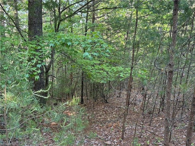 LOT27 Wolf Pen Rd, Purlear, NC 28665