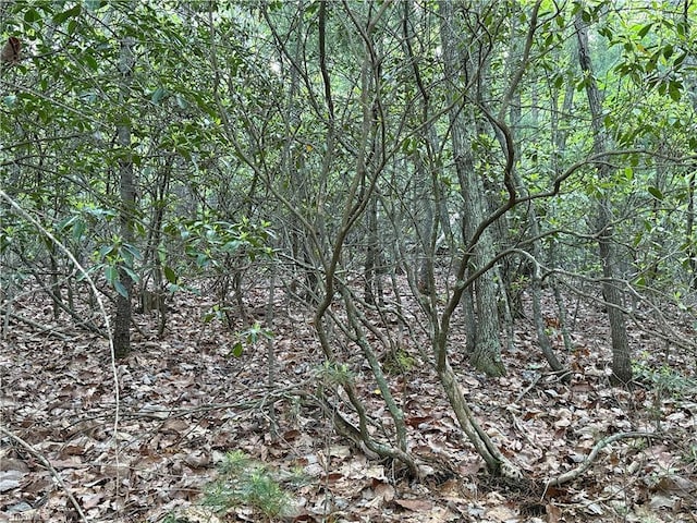 LOT27 Wolf Pen Rd, Purlear, NC 28665