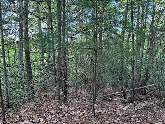 LOT27 Wolf Pen Rd, Purlear, NC 28665