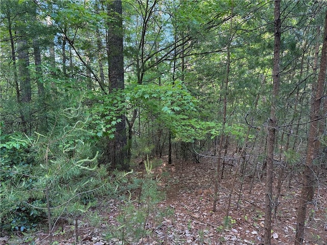 LOT27 Wolf Pen Rd, Purlear, NC 28665