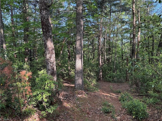 LOT27 Wolf Pen Rd, Purlear, NC 28665