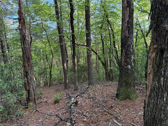 LOT27 Wolf Pen Rd, Purlear, NC 28665