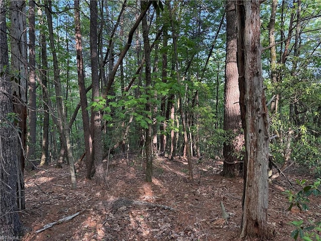 LOT27 Wolf Pen Rd, Purlear, NC 28665